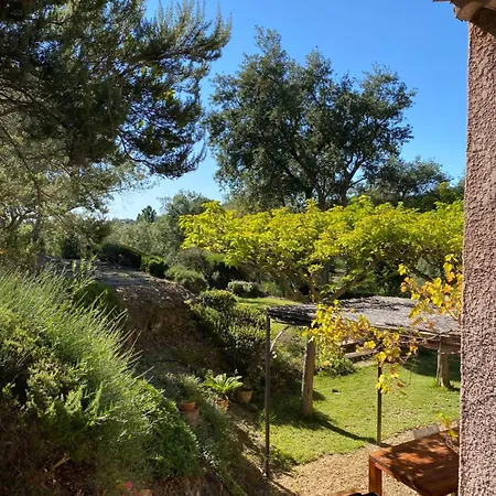 Les Arbousiers - Climatisee Avec Piscine, Au Calme Villa *